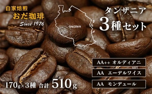 自家焙煎 おだ 珈琲 タンザニア 3種セット 各170g コーヒー 豆