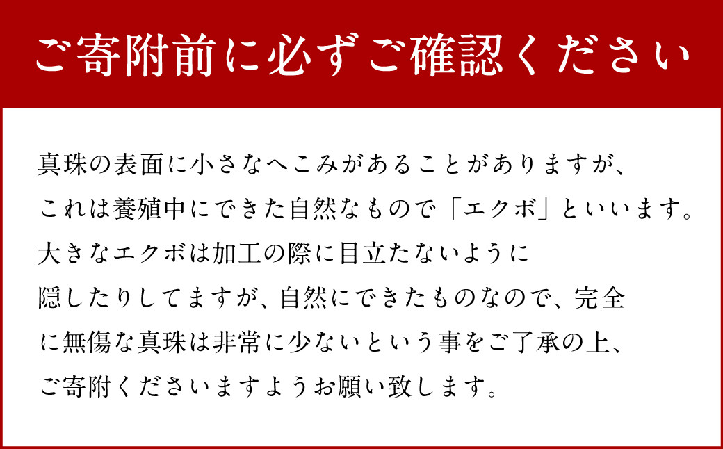 WG タヒチ黒蝶真珠 ペンダント 真珠サイズ14.0mm前後 高品質