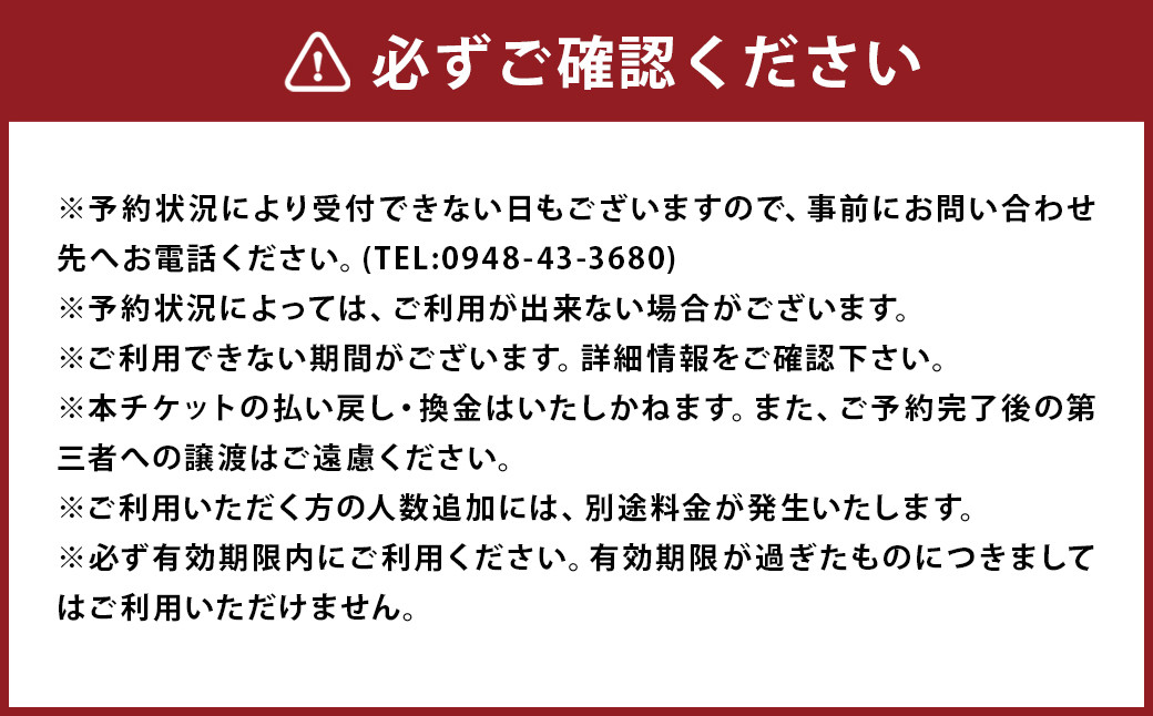 清流が流れる渓谷を下流から上流へと登る シャワークライミング体験チケット 体験 チケット アウトドア シャワークライミング