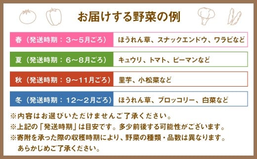 旬を感じるお野菜 定期便 年4回 季節 野菜セット