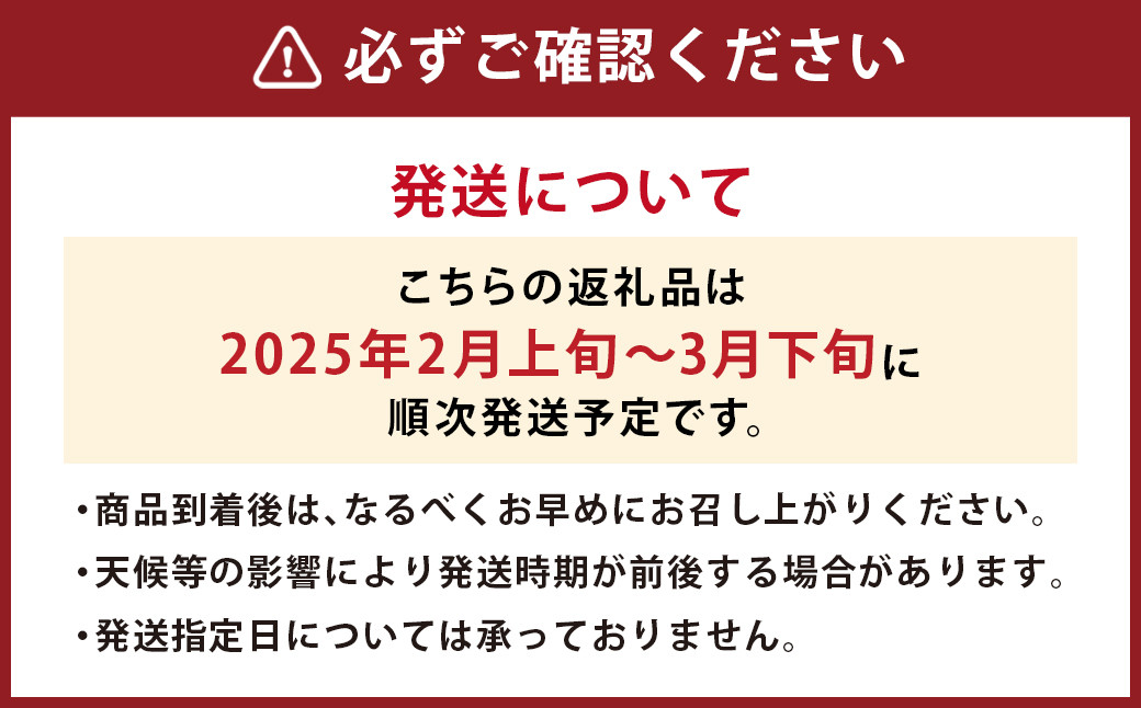 【春】福岡産 あまおう いちご 約250～270g×6パック 【2025年2月上旬～3月下旬発送予定】 大粒