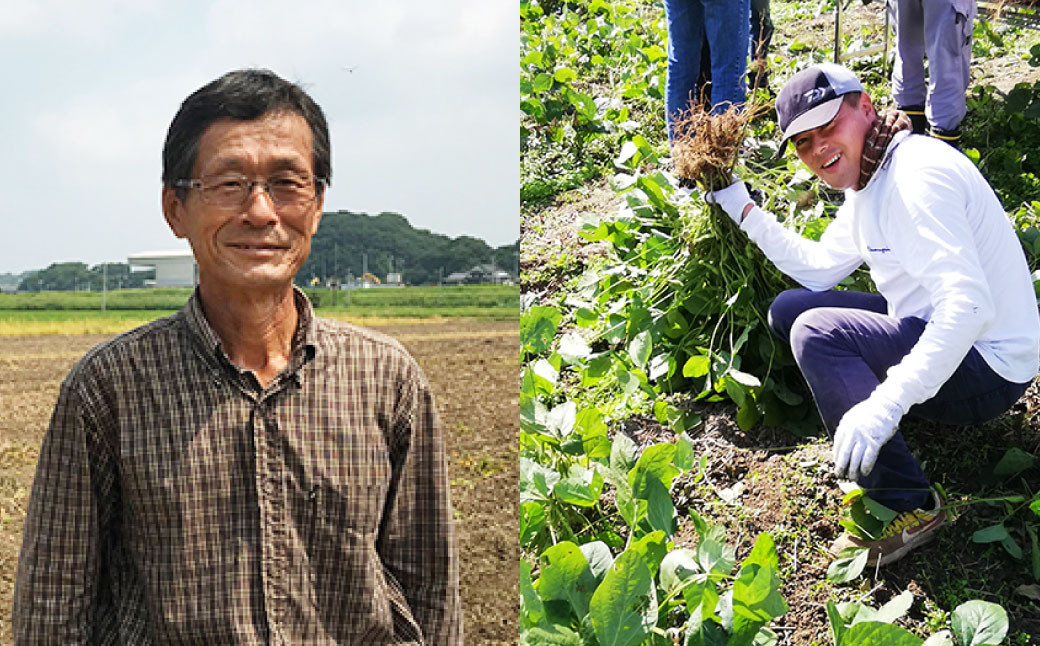 年に1度の青々とした若さをお届け！希少な嘉麻ひすい 根付き 枝付き 生枝豆 【2025年10月上旬～下旬発送予定】 希少 青大豆 キヨミドリ 