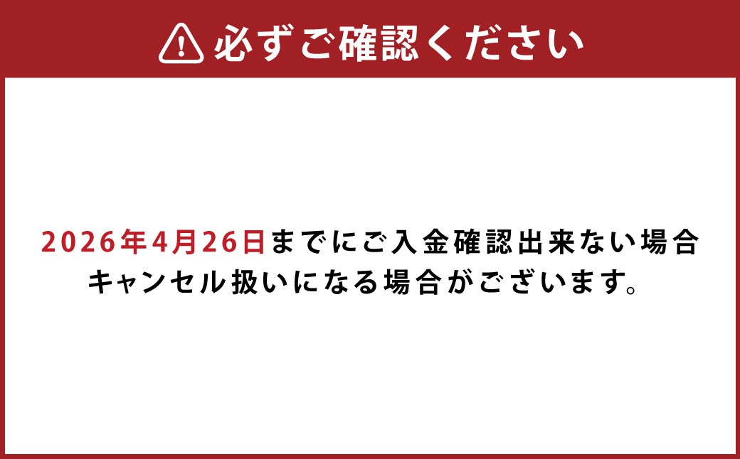 【先行予約】超豪華! 黄色 オレンジ系 でまとめた 母の日 にぴったりな アレンジメント ♪ 【2026年5月7日～9日まで発送予定】 母の日 花 生花 フラワー アレンジメント オレンジ 黄色