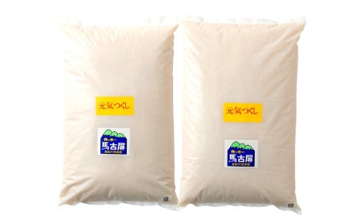 【令和7年産】嘉麻市産 元気つくし 6kg (3kg×2) 清らかな水で育った 福岡県産 特別栽培米 【2025年11月上旬から順次発送予定】