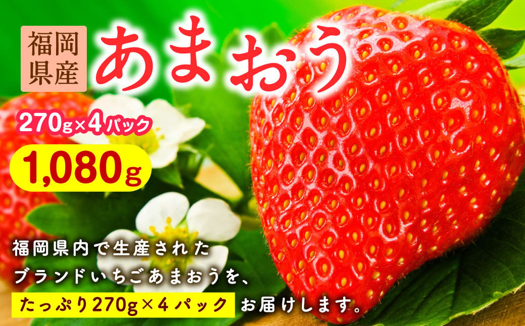 福岡県産 あまおう 270g×4パック 合計1080g 【2025年2月上旬～2025年4月下旬までに発送】 いちご ブランド