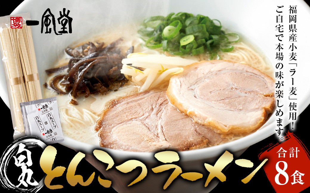 ラー麦使用「一風堂」とんこつラーメン 白丸(8食) 一風堂 白丸 らーめん 豚骨 とんこつ 豚骨スープ ストレート麺