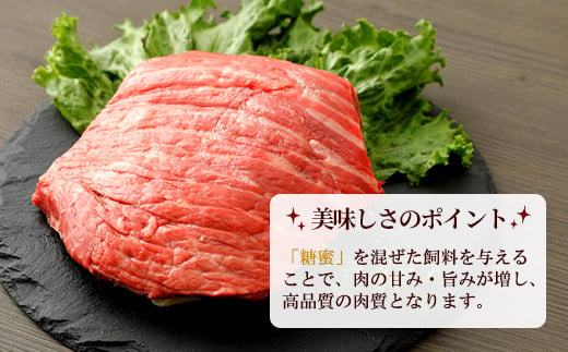 嘉穂牛 赤身 ブロック 約400g 牛肉 ローストビーフ用の肉