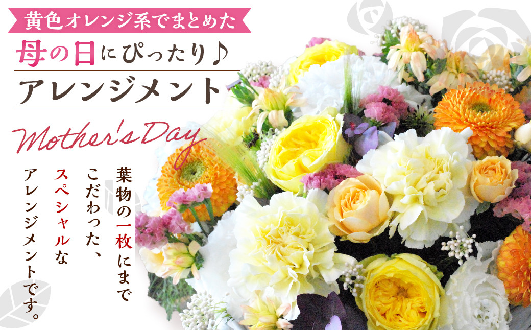 【先行予約】超豪華! 黄色 オレンジ系 でまとめた 母の日 にぴったりな アレンジメント ♪ 【2026年5月7日～9日まで発送予定】 母の日 花 生花 フラワー アレンジメント オレンジ 黄色