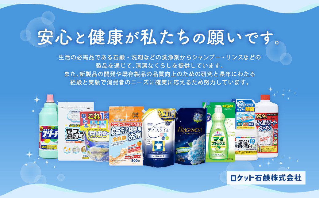 詰替用 おふろの洗剤泡消臭プラス お風呂掃除 泡 消臭 掃除