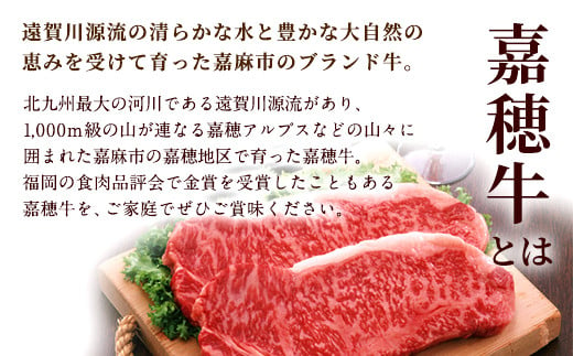 嘉穂牛 赤身 ステーキ 約400g 牛肉