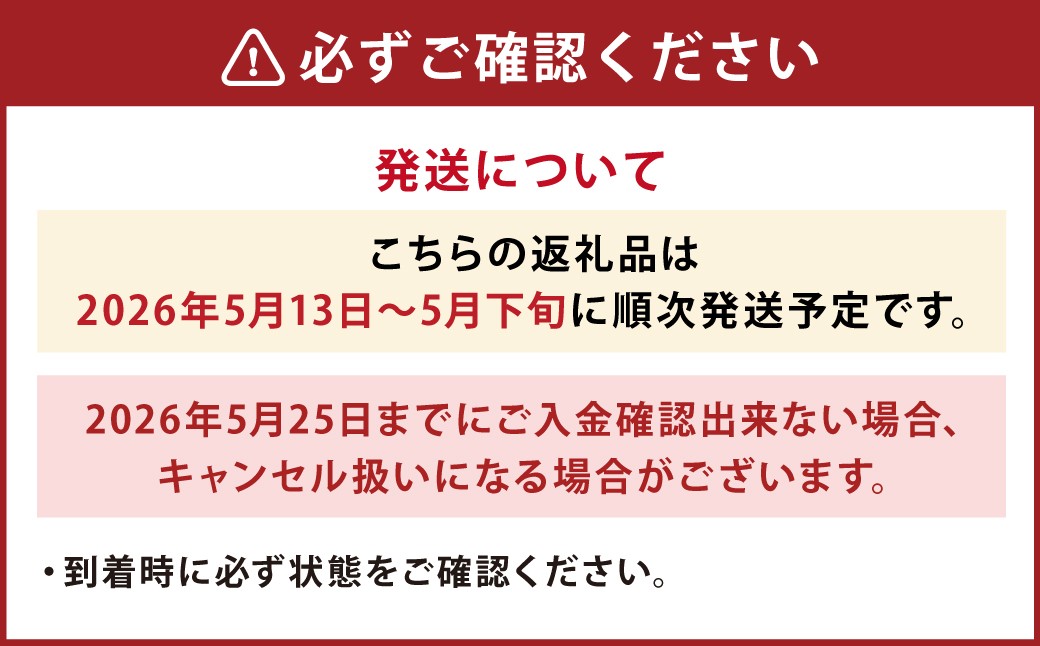 5月は母の月！母の月にぴったりなカーネーションを中心にしたブーケ！花瓶付きタイプ 【2026年5月13日～5月下旬までに発送予定】