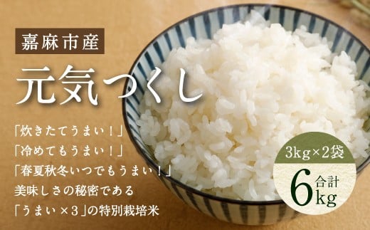 【令和7年産】嘉麻市産 元気つくし 6kg (3kg×2) 清らかな水で育った 福岡県産 特別栽培米 【2025年11月上旬から順次発送予定】