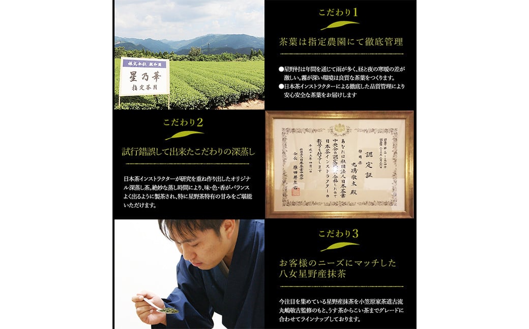 訳あり品 八女星野茶 深蒸し茶 1,100g（100g×11袋） 緑茶 お茶