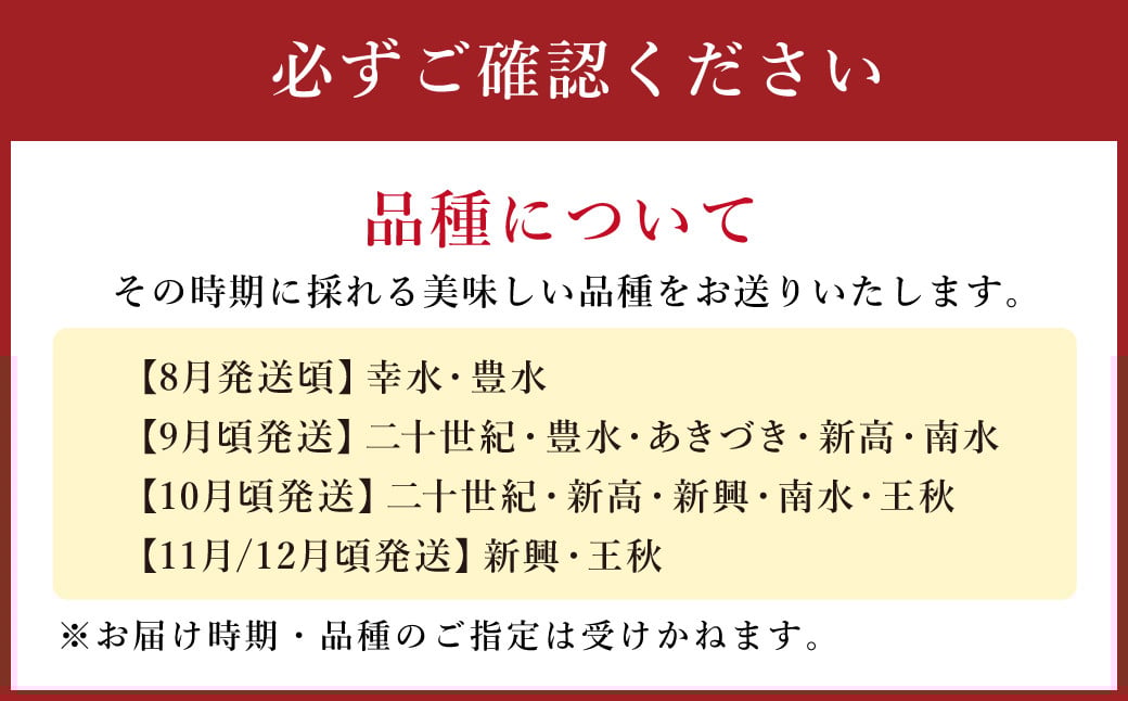  梨 7kg 【2025年8月上旬～12月上旬発送予定】 九州産 なし 果物 フルーツ