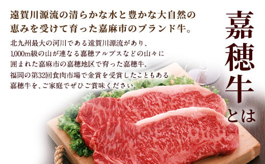 嘉穂牛 食べ比べセット 3種 合計約570g カルビ ロース 赤身 牛肉