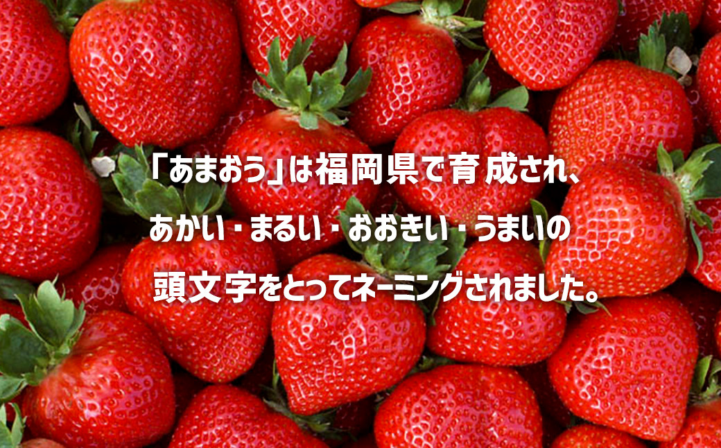 JAふくおか嘉穂 博多あまおう 【2箱（250g～270g×4パック）】 いちご あまおう 果物 フルーツ 【2026年2月上旬-3月下旬迄順次発送予定】