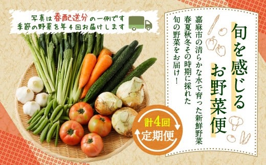 旬を感じるお野菜 定期便 年4回 季節 野菜セット