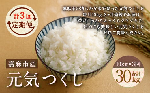 【令和7年産】【3ヶ月定期便】元気つくし お米 合計30kg (10kg×3回)【2025年11月上旬から順次発送予定】