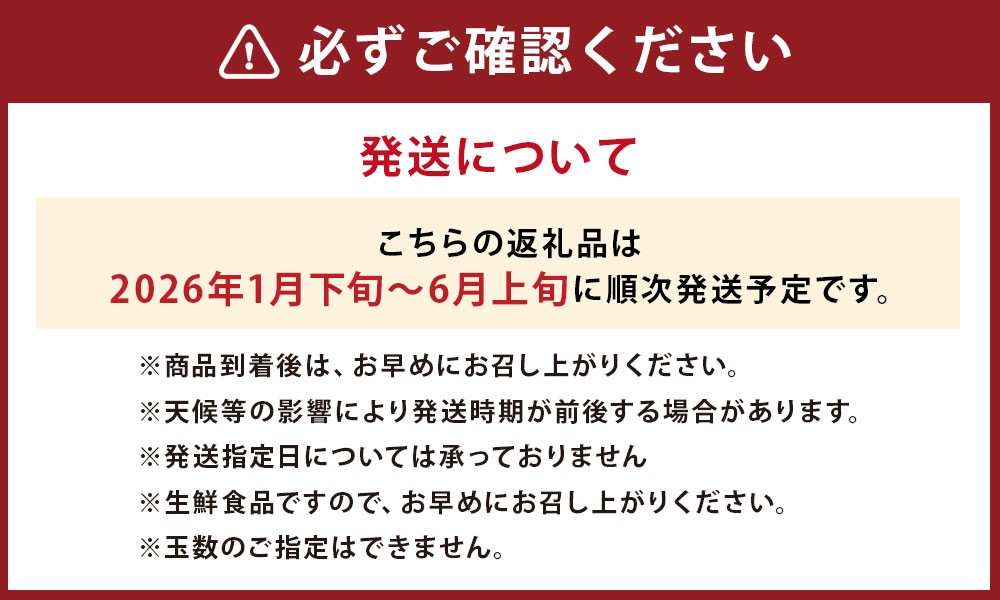 JAふくおか嘉穂 嘉穂のこくうま エコトマト4kg とまと 福岡県 嘉麻市 【2026年1月下旬-6月上旬迄順次発送予定】