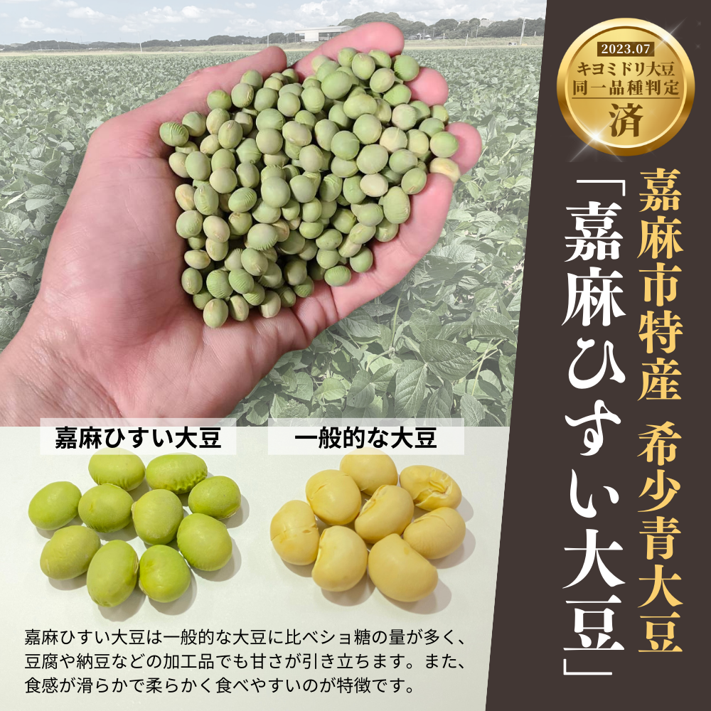 えごまタレ付 希少青大豆「嘉麻ひすい大豆」の高級納豆6パック入（高級ギフト箱） 納豆 パック 高級 ギフト箱 えごま