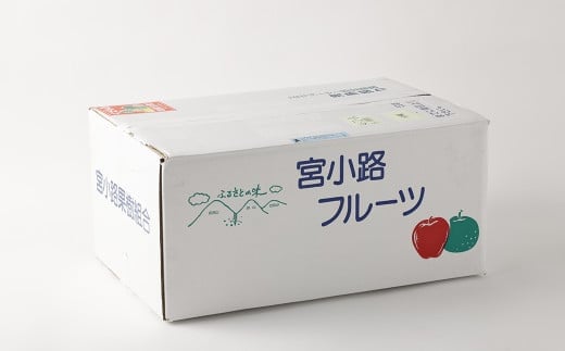 梨 3kg 【2025年9月下旬～12月下旬迄発送予定】 なし 果物 くだもの フルーツ 豊水 20世紀 新高 新興