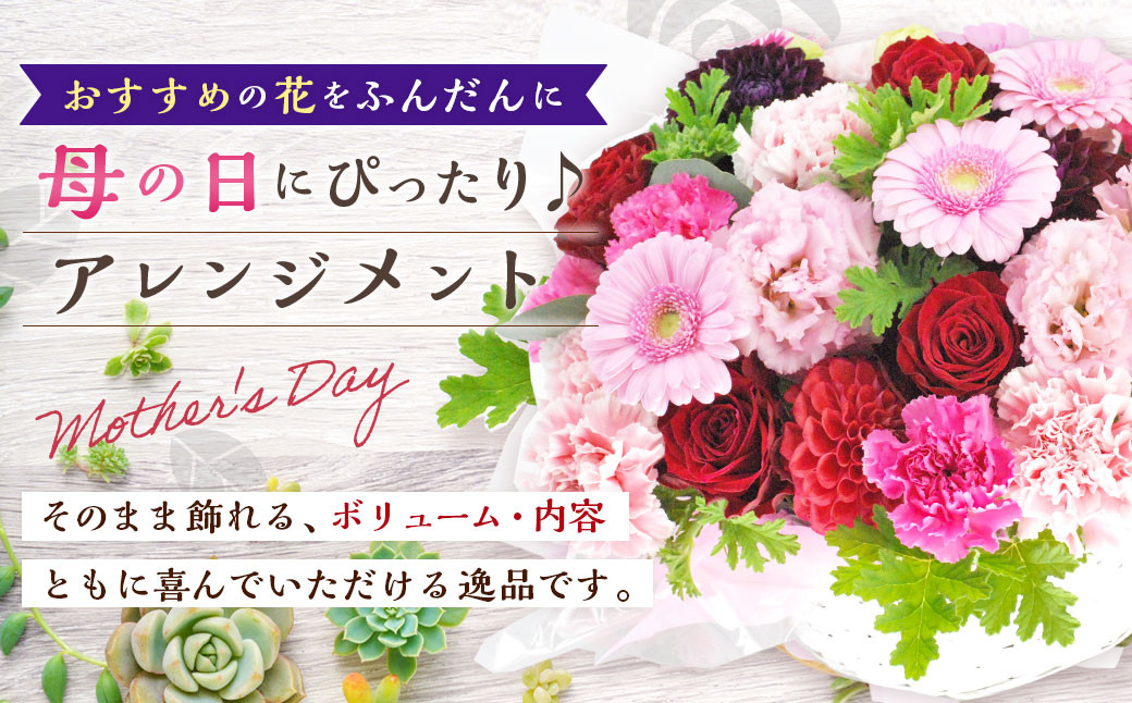 【先行予約】 おすすめの花をふんだんに母の日ギフト用アレンジメント 【2026年5月7日～9日まで発送予定】 母の日 ギフト 贈り物 アレンジメント 花