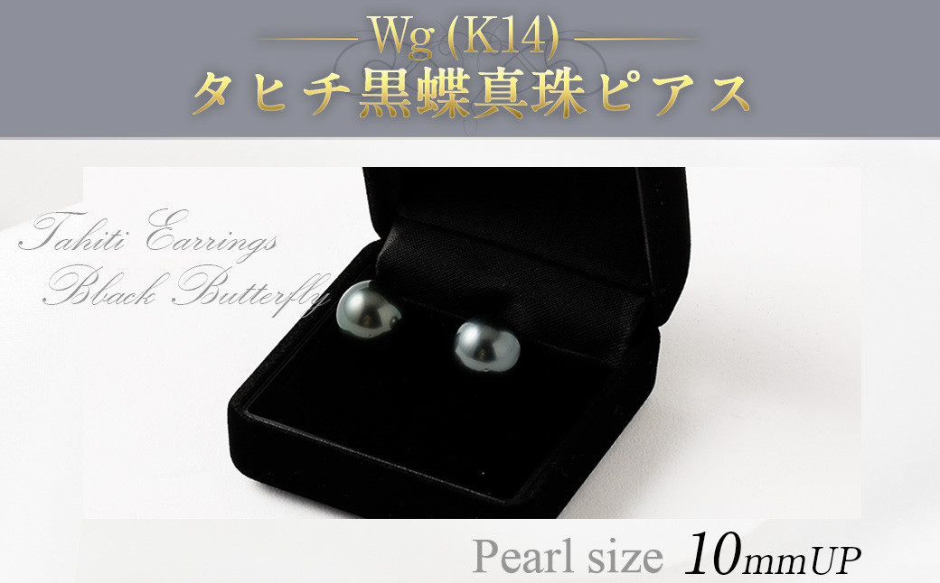 WG(K14)タヒチ黒蝶真珠ピアス 真珠 ピアス アクセサリー 装飾品 福岡県 嘉麻市