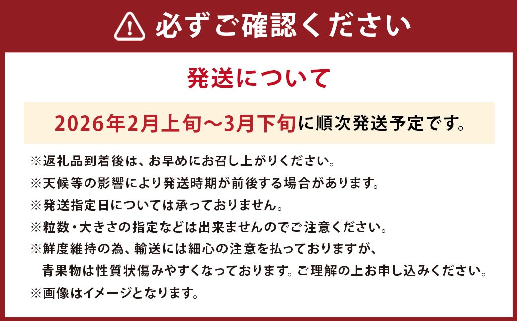 JAふくおか嘉穂 博多あまおう 【2箱（250g～270g×4パック）】 いちご あまおう 果物 フルーツ 【2026年2月上旬-3月下旬迄順次発送予定】