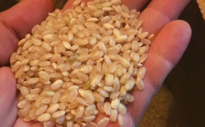米 2kg 季節野菜 セット 玄米 ゆめつくし