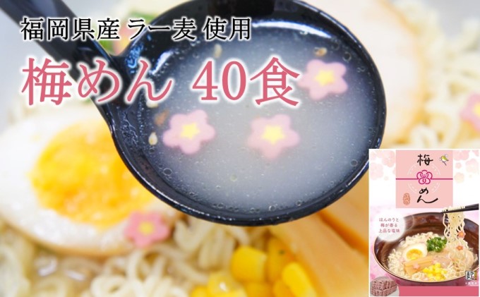 福岡県産 ラー麦 使用 梅めん 40食