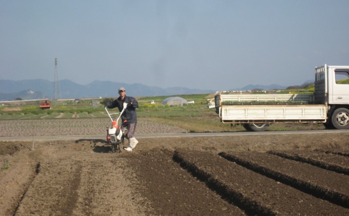 å®æäŸ¿ 3å ç±³ 5kg å£ç¯éè ã»ãã 粟米 ããã€ãã ãç±³ è©°åã äžçœç±³ äœæž©ä¿åç±³ ãéèã»ãã