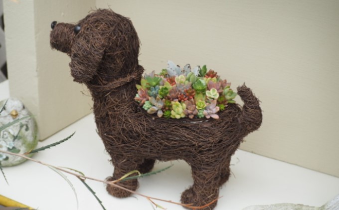 まるで多肉の宝石箱♪チビわんこの多肉植物 寄せ植え（1個） インテリア ガーデニング 玄関 置物 犬 イヌ 犬の置物 