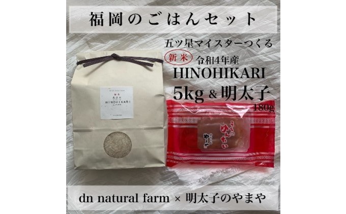 福岡のごはんセット【農家直送】 新米ヒノヒカリ無洗米5kg × やまや『うちのめんたい180g』※配送不可：離島 お米 魚貝類 明太子
