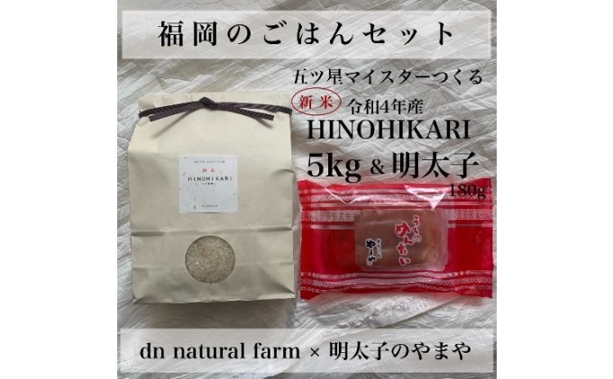 福岡のごはんセット【農家直送】 新米ヒノヒカリ5kg × やまや『うちのめんたい180g』※配送不可：離島 お米 魚貝類 明太子