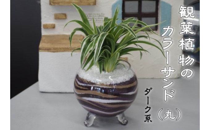 カラーサンド（ガラス花器：丸）ダーク系 植物 インテリア 飾り 緑 グリーン 部屋 玄関 キッチン 洗面所 丸型 グリーンインテリア