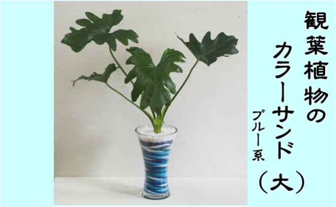 カラーサンド（ガラス花器：大）ブルー系 植物 インテリア 飾り 緑 グリーン 部屋 玄関 グリーンインテリア アート感覚 寄せ植え 1点もの