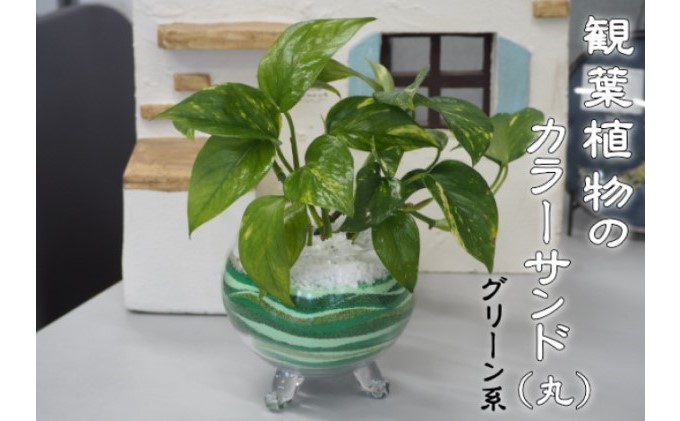 カラーサンド（ガラス花器：丸）グリーン系 植物 インテリア 飾り 緑 部屋 玄関 キッチン 洗面所 丸型 グリーンインテリア 寄せ植え