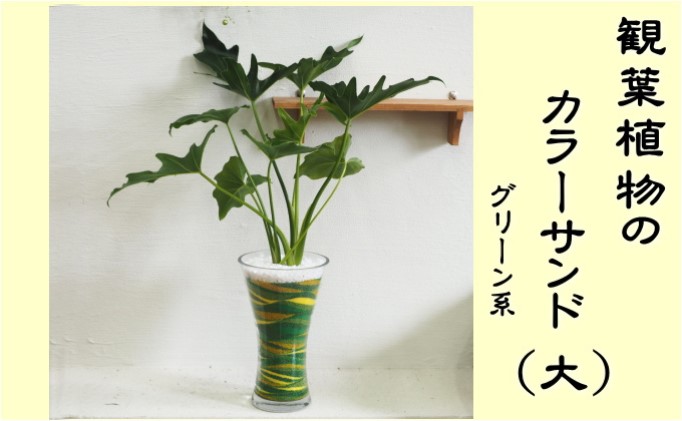 カラーサンド（ガラス花器：大）グリーン系 植物 インテリア 飾り 緑 部屋 玄関 グリーンインテリア アート感覚 寄せ植え 1点もの