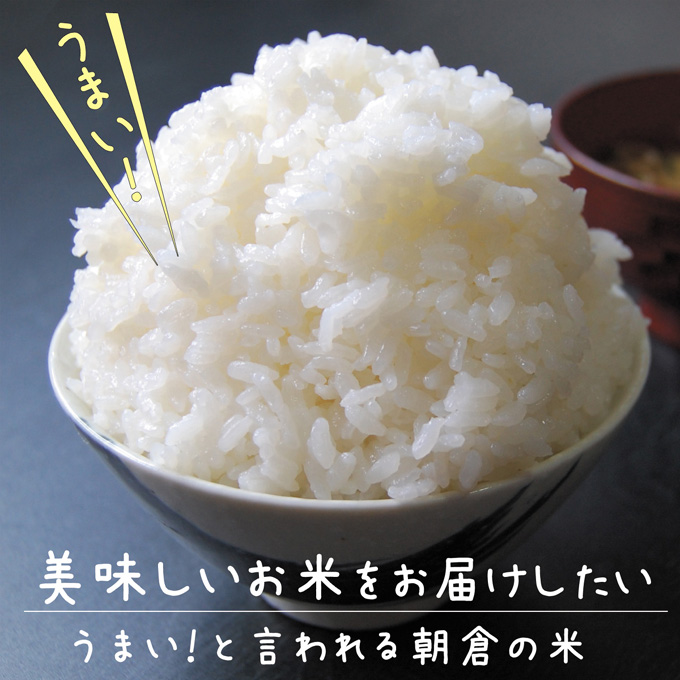 米18Kg(精米)　米/穀物