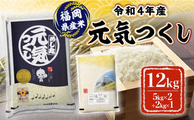 4年保証』 福岡県産米 元気つくし10kg お米 白米 全国発送 米10kg