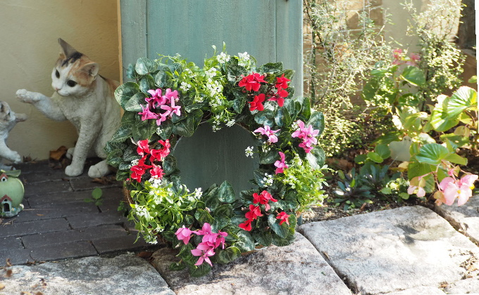 ガーデンシクラメンのサークルハンキング（直径35cm） 植物 お花 お庭 ガーデニング 癒し グリーン インテリア ビックサイズ アイアンサークル アリッサム 鮮やか