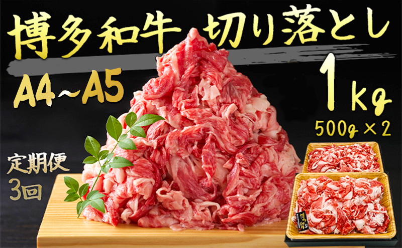 定期便 3ヶ月 牛肉 A4～A5 博多和牛 切り落とし 1000g 500g×2p 肩ロース 赤身 バラ カルビ 小分け 大好評につき継続！3回 配送不可：離島