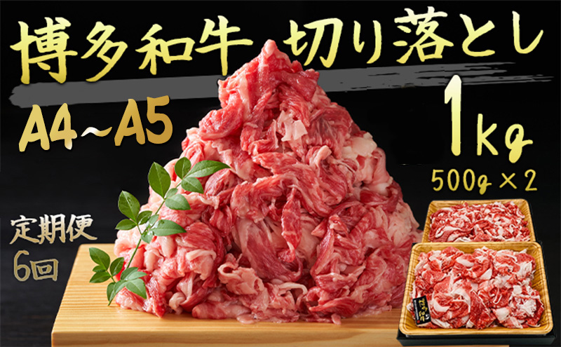 定期便 6ヶ月 牛肉 A4～A5 切り落とし 合計1000g 博多和牛（500g×2p）肩ロース 赤身 バラ カルビ 小分け 大好評につき継続！6回 配送不可：離島