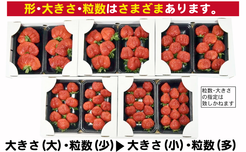 ããŸãã Gä»¥äž çŽ1.04kg çŽ260gÃ4ãã㯠â»é
éäžå¯ïŒåæµ·éã»æ±åã»æ²çžã»é¢å³¶ æç© èº ãã«ãŒã ãã¶ãŒã æ¬ å€§ç² ã°ã©ã³ãççŽä»¥äž æ¬ã®ããŸãã çŠå²¡ã®ç¹ç£å