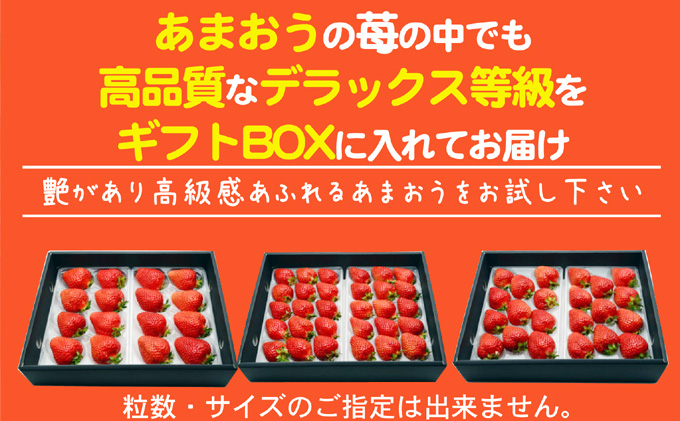 あまおう DX等級以上 約300g×2パック ※配送不可：北海道・東北・沖縄・離島