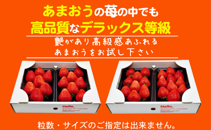 あまおう DX等級のみ 約1.04kg 約260g×4パック ※配送不可：北海道・東北・沖縄・離島