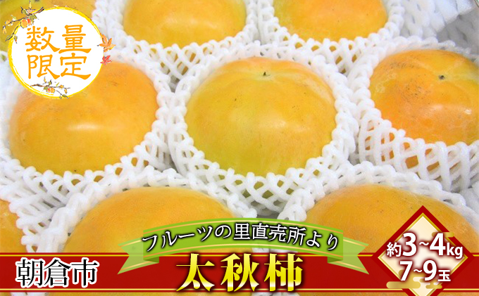 格安爆買い【CO YURI様専用】太秋柿　４キロ箱　７個入　３箱 果物