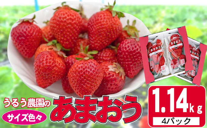 いちご 2024年12月より発送 うるう農園のあまおう サイズ色々4パック 約1.14kg※配送不可：離島