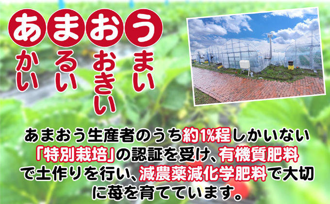 いちご 2024年12月より発送 うるう農園のあまおう サイズ色々4パック 約1.14kg※配送不可：離島