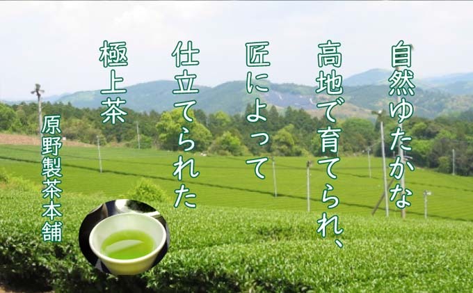 煎茶 八女茶 5袋セット 100g×5袋